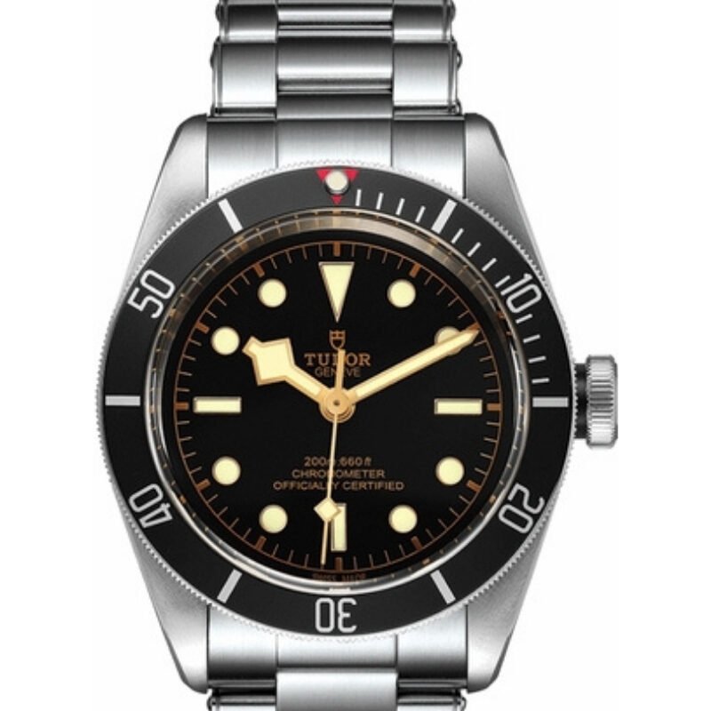 Tudor Black Bay Heritage 41 mm